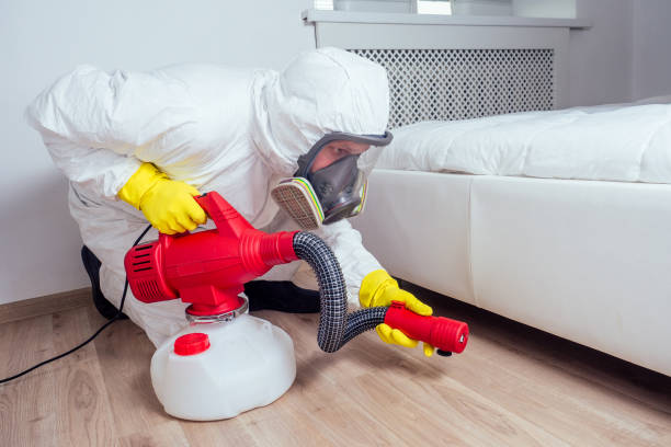 Best Pest Removal Services  in Dewitt, MI
