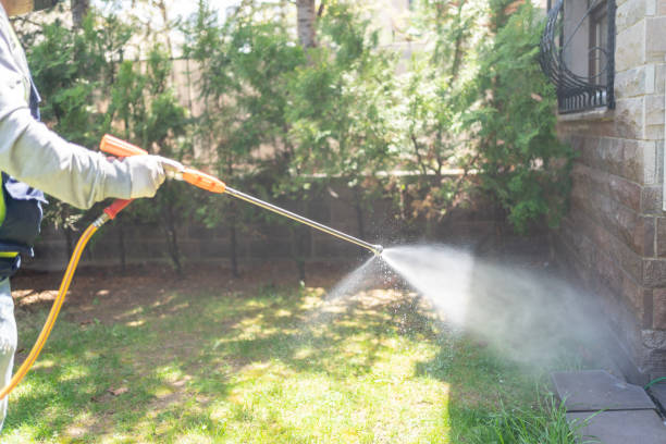 Best Rodent Control Near Me  in Dewitt, MI