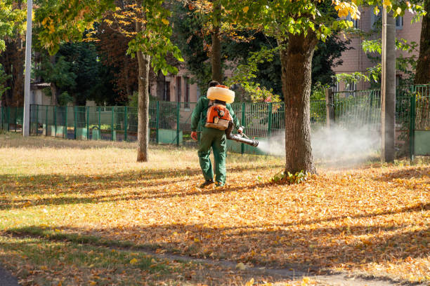 Best Wasp Removal Services  in Dewitt, MI